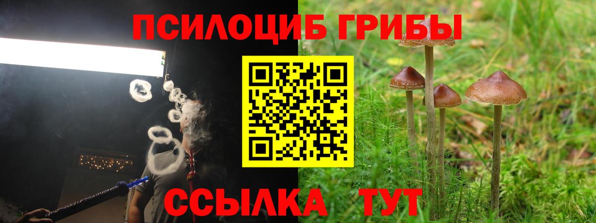 Псилоцибиновые грибы мухоморы Советск